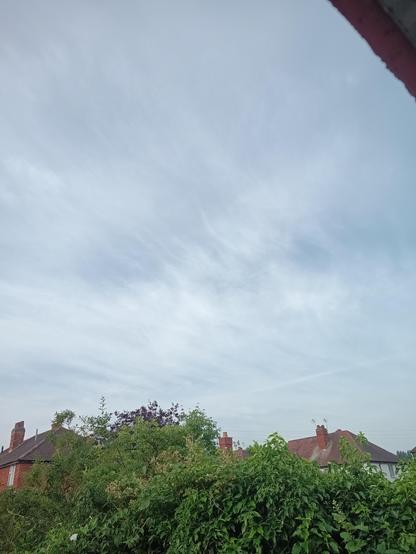 Cloudy skies over shrubs, treeline and house roof.