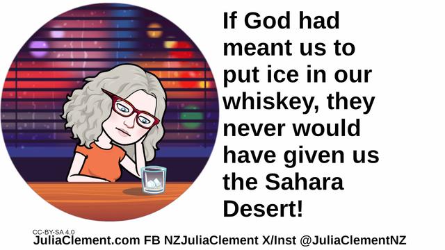 Julia sits at a bar staring at an empty glass with ice cubes in it. Text: If God had meant us to put ice in our whiskey they never would have given us the Sahara Desert!
