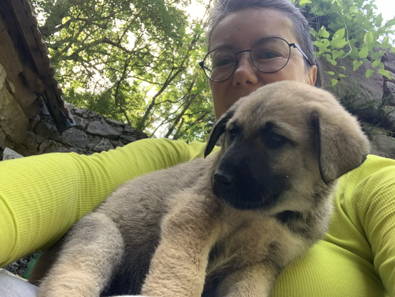 Puppy cuddles in my lap / selfie
