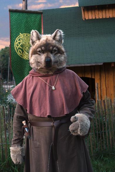 Photo of a wolf fursuiter in medieval clothing standing in front of a wooden medieval house and a banner with an wolf emblem. It is dawn.