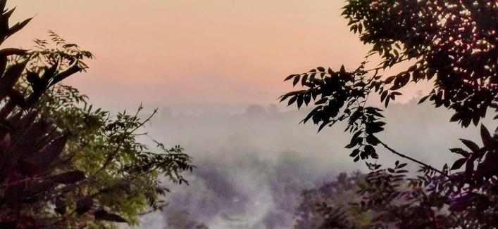 Sonnaufgang. Ein zartrosa Himmel, darunter dichter  Morgennebel. Schemenhaft zeichnen sich Konturen von Bäumen ab. Im Vordergrund links und rechts ragen Zweige von Laubbäume dunkel ins Gegenlicht.
