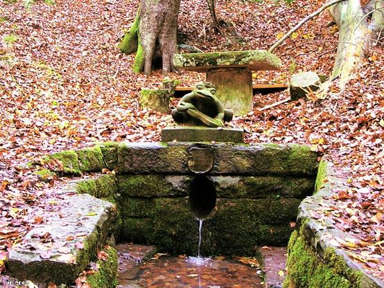 Farbfoto vom Studentenbrünnele im Wald in der Nähe von Maulbronn, Baden-Württemberg. Über dem in einer Steinmauer gefassten Brunnen thront eine sitzende Froschskulptur. Dahinter ein Tisch aus Stein und eine Bank. Überall liegt gefallenes oranges Buchenlaub. Farbstich durch die verwendete Digitalkamera der ersten Jahre.