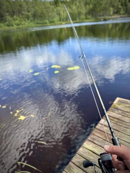 Fiskespö ut mot en sjö