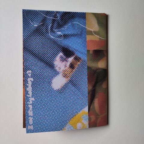 Photographie de la quatrième de couverture du fanzine PATOUNES sur le chat Patate, des photographies modifiées avec des textures CMJN, un texte de fin 'A cat zine by hellahag <3'