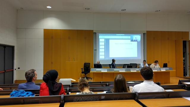 Professor Yiftach presenting at the THEuMa Conference; parts of the audience are visible in the foreground.