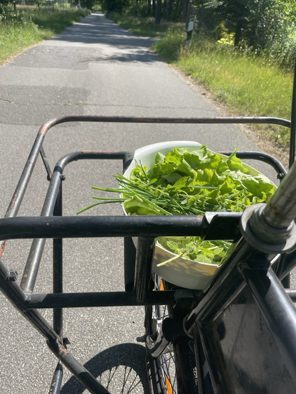 Auf dem vorderen Gepäckträger eines schwarzen Lastenrads steht eine weiße Schüssel mit Salatblättern und frischen Kräutern. Im Hintergrund: eine Straße mit grünem Seitensteifen.
