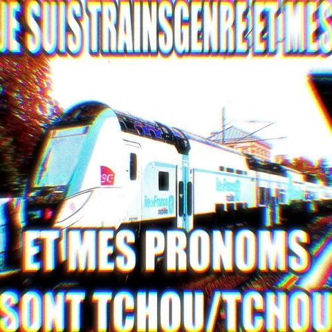 Photo d'un Regio 2N en livrée Île-de-France (train) avec le texte superposé "Je suis trainsgenre et mes pronoms sont tchou/tchou"