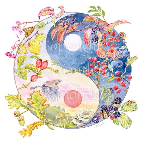 A Yin-Yang shape is surrounded by branches of native trees in autumn colours and some bearing fruit. The left hand half of the shape is filled with a pink/pale orange sky, and a large red sun forms the traditional 'dot' over a grassy hill. Autumn leaves and berries overlay the sky, a jay sings flies over, and fungi sit at the bottom. A moth sits on the outside curve. The right hand half features a dark blue sky with stars, with a white moon forming the 'dot'. Autumn leaves and berries overlay the scene. A snail creeps down one side.