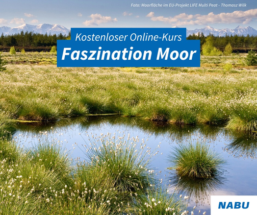 Ein Bild mit Text 
Foto: Moorfläche im EU-Projekt LIFE Multi Peat- Thomasz Wilk Kostenloser Online-Kurs Faszination Moor NABU“