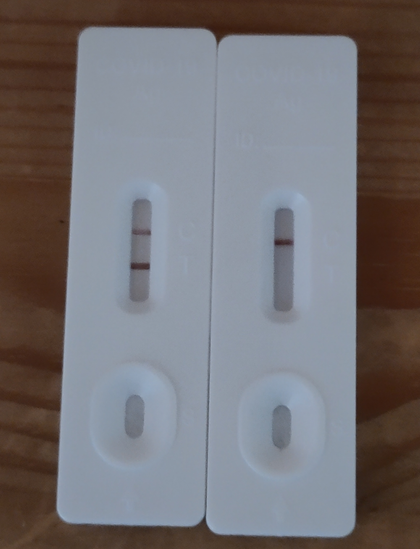 Zwei Antigen-Tests nebeneinander, links sind zwei Streifen zu sehen, rechts nur einer. Der positive Teststreifen ist sogar kräftiger ausgeprägt als der Kontrollstreifen.