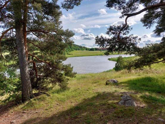 Näkymä Aurajoelle Virnamäen reunalta 18.6.2025 iltapäivällä.