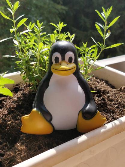 Linux Café