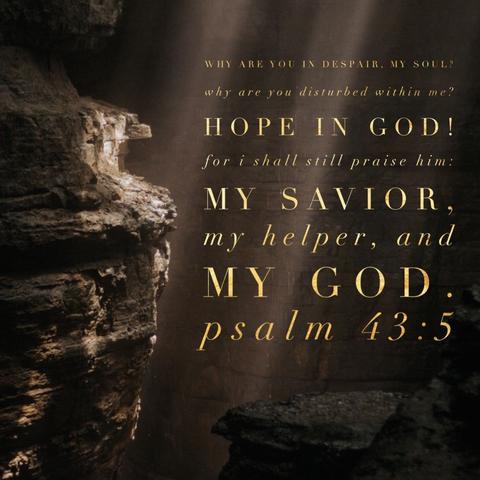 Why are you in despair, my soul? Why are you disturbed within me? Hope in God! For I shall still praise Him:  My Savior, my helper, and my God. - Psalm 43:5