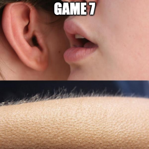 Photo du haut : Murmure dans l'oreille "Game 7"
Photo du bas : chaire de poule