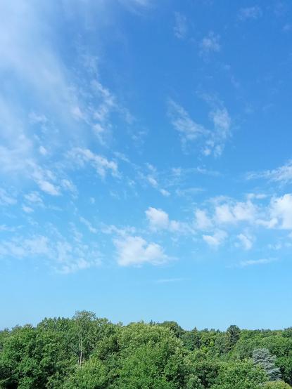 A picture of the sky with trees in the bottom. The sky is blue with white clouds.