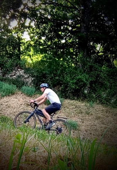 A human is riding a bike. He is going up in the slope. There is grass in the forground and trees behind..