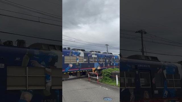 489なんの電車がくるのかな？#上市町 #撮り鉄  #富山地方鉄道 #電車 #てっちゃん