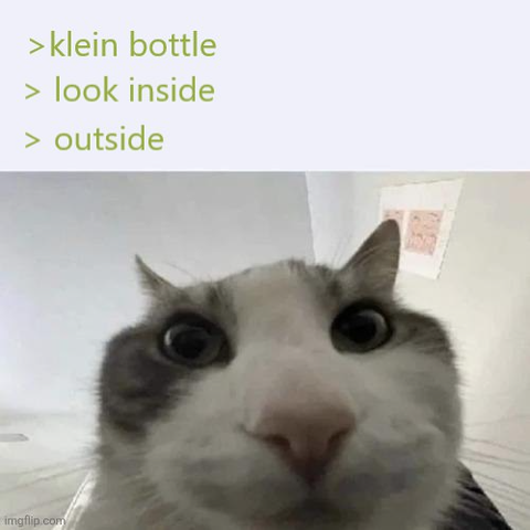 >klein bottle
>look inside
>outside

below is photo of a cat from famous "look inside" meme