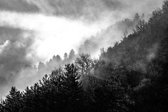 Brume dans le Tarn https://photos.lisiecki.fr/2025/dsc07080/ #blackandwhite #bnwphotography #photographie #bnw #bw #noiretblanc #photography #bwphoto #photographie #bwphotography #photodujour #picoftheday #mountain #montagne #landscape #paysage #travelphotography #travel #voyage