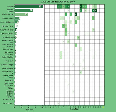 Chart generated by BirdNET-Pi with rows of all detected birds for Thursday, June 19, 2025 in decending order.  The first large column displays a bar chart of relative frequency; the 24 reamaining columns create cells with the bird count for each hour of the day shaded by relative count.
