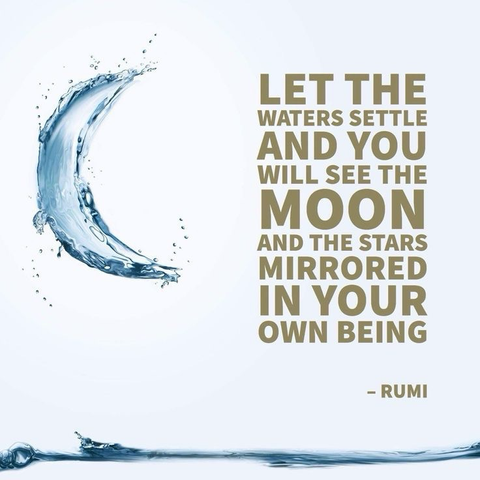 LET THE WATERS SETTLE AND YOU WILL SEE THE MOON AND THE STARS MIRRORED IN YOUR OWN BEING - RUMI