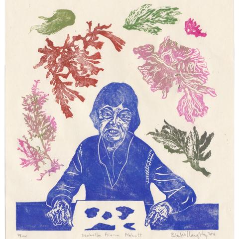 Linocut portrait of Isabella Aiona Abbott in indigo on cream coloured paper. She’s facing forward at a table in a shirt and sweater vest with a sheet with algae samples on the table. In my print, she is surrounded by algae of the Pacific, all of which appeared in Abbott's research publications, including several species she discovered, or based on images of specimen she personally collected or whose traditional use as food she documented. The algae are in pinks, khaki green and rust.