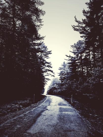 A long worn road arcs into the distance in the woods at the edge of town, cutting a swath in both the land and sky