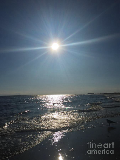 Happy Summer Solstice