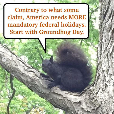A black squirrel says “Contrary to what some claim, America needs MORE mandatory federal holidays. Start with Groundhog Day.”