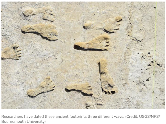 fossilized human footprints most from people walking left to right, but one walking top to bottom.  There are large and small feet represented.  "Researchers have dated these ancient footprints three different ways. (Credit: USGS/NPS/Bournemouth University)"