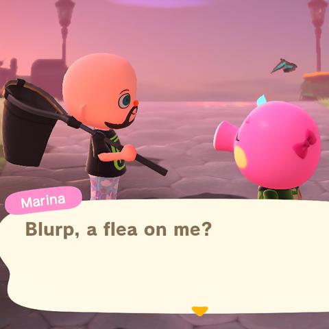 Animal Crossing: New Horizons screenshot. Set outdoors in an open area with concrete tile ground surface. Marina (pink squid with a pink bow on her head) is nervous and sweating while talking to a bald, light skinned, bearded, human with blue eyes who is wearing a t-shirt and pajama pants while holding a black net. Marina is saying in a huge text box, "Blurp, a flea on me?"