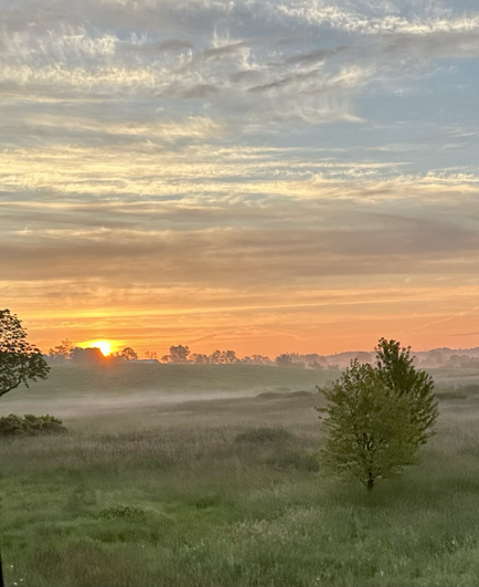Sunrise. Lush, misty green stream valley in foreground. Sunrise breaking and painting the cloudy sky in hues of orange.