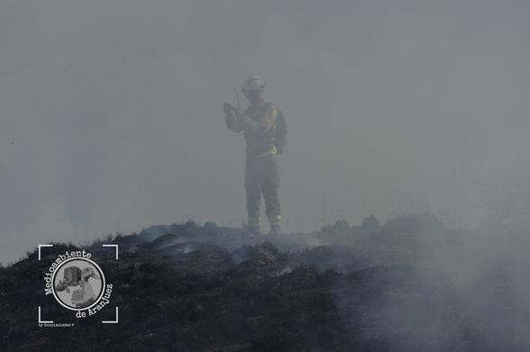 bombero en un montículo entre el humo en una zona arrasada por el fuego