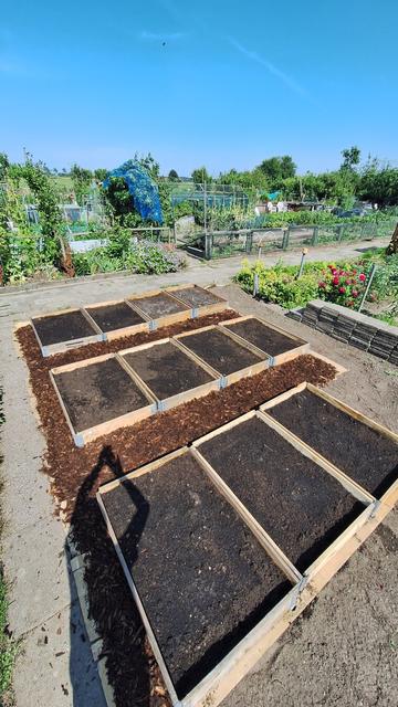 Raised beds on my allotment plot, made of pallet collars, filled with compost, ready to be planted up or sown in.