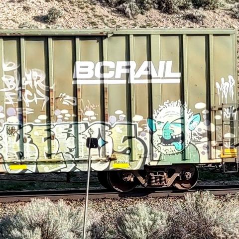 Train car with graffiti rolling through Kamloops BC Canada