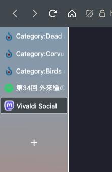 Vivaldiのスクショ。左側にタブバーを縦に設置。5つのタブの下に隙間が空いてタブ追加用のプラスボタンがある。
