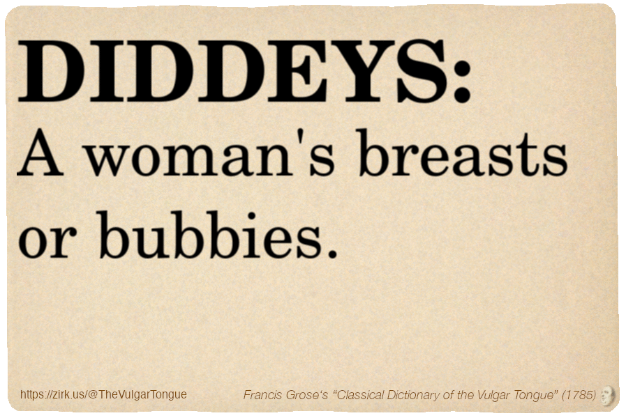 Image imitating a page from an old document, text (as in main toot):

DIDDEYS. A woman's breasts or bubbies.

A selection from Francis Grose’s “Dictionary Of The Vulgar Tongue” (1785)