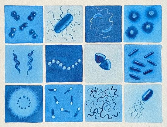 blue bacteria watercolor