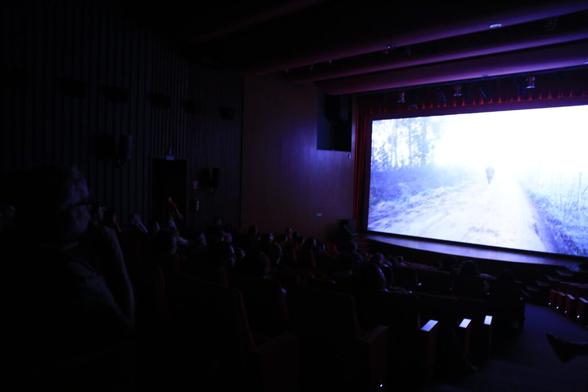 Sala de cinema onde se vê o público na penumbra e a projeção na tela.