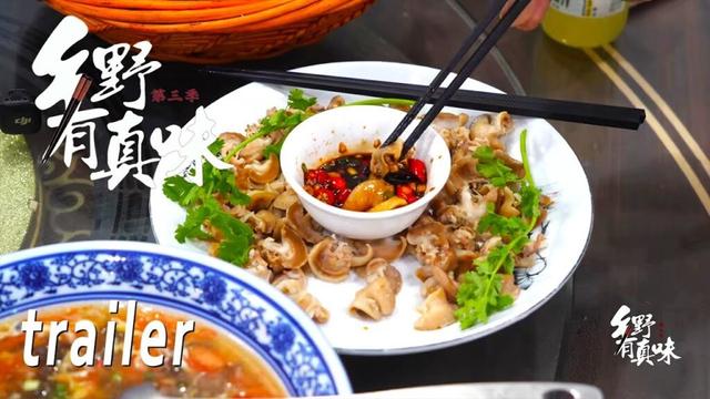 【乡野有真味第3季 奇食】第4-6集预告 | 腾讯视频 - 纪录片