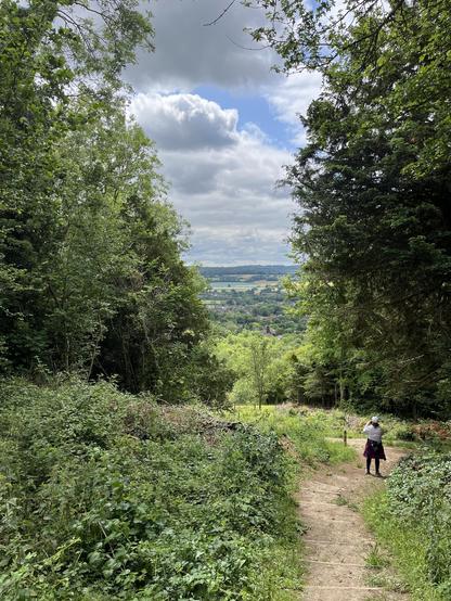 View from top of stepped path on North Downs Way in Kent, England. Looking down on village of Kemsing. Trees to either side, either brambles either side of the path. Light grey clouds with patch of blue sky visible between trees. Woman at bottom of path taking a photo.