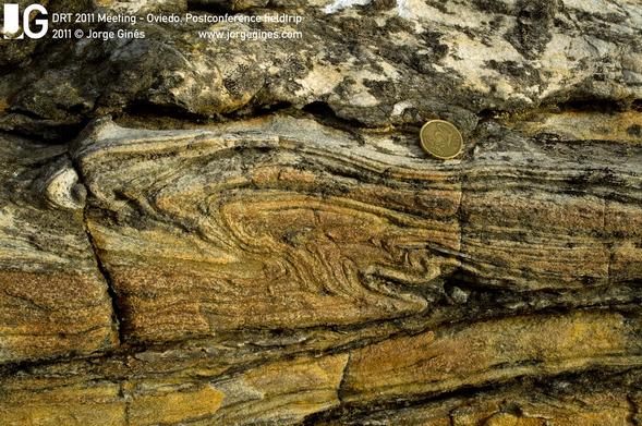 A photo of a fold, recumbent to sheath. A coin for scale.