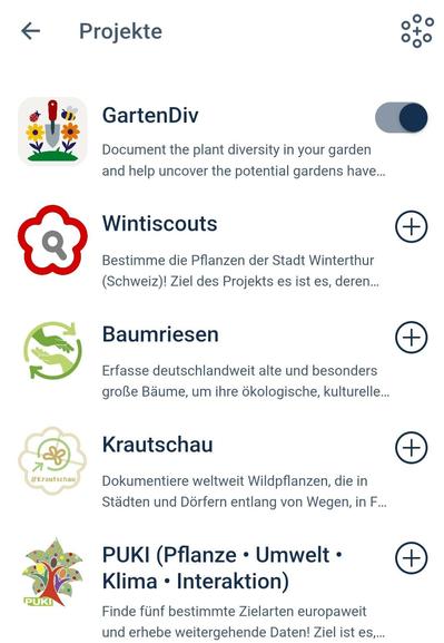 Screenshot der Einstellung von Gartendiv
