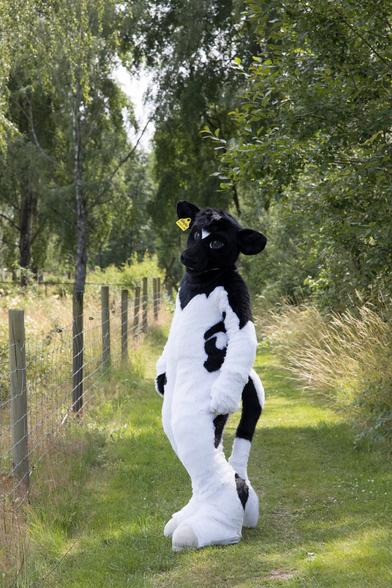 Black and white bovine fursuiter standing surrounded by green grass and leafy green trees.