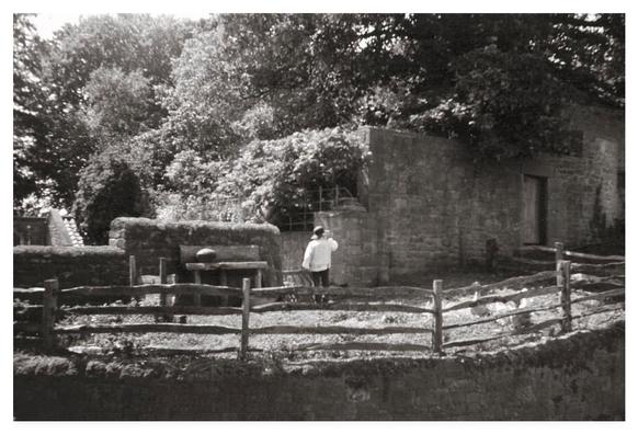 Vintage looking black and white film photograph showing a poultry farmer of old guzzling a flagon of cider.  Well, that's what I think he was doing.  He's seen from behind, a bit of a distance away, standing in a sunny paddock with geese.