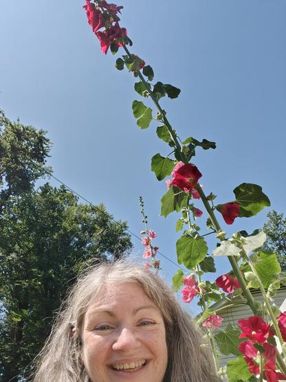 My head is at the bottom left. To the right is a thick green stalks with leaves and red flowers reaching up to the edge of the frame