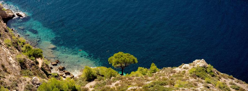 Steep rocky cliff with sparse vegetation and a lone tree, overlooking a clear, deep blue sea. The coastal water near the shore gradually shifts to lighter turquoise, suggesting shallow depths.