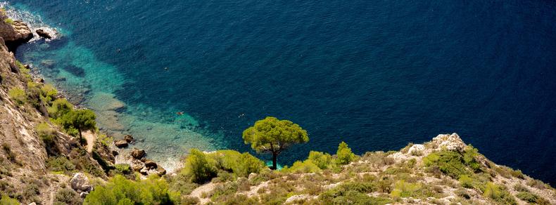 Steep rocky cliff with sparse vegetation and a lone tree, overlooking a clear, deep blue sea. The coastal water near the shore gradually shifts to lighter turquoise, suggesting shallow depths.