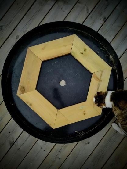 Photo taken from above. a wide black circular metal basin, with 6 wood pieces inside creating a Hexagon. a tabby cat is sniffing the wood.