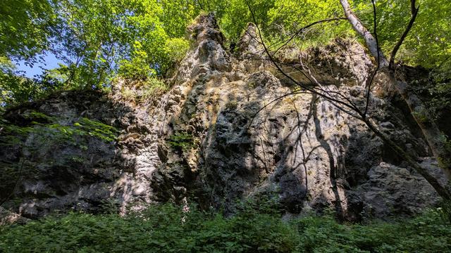 Eine Felswand aus dem für die schwäbische Alb bekannten sediment Gesteins aus Kalk, Ton und Mergel.